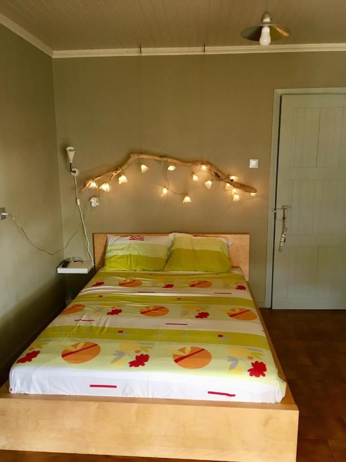 Elsa Apartment Agios Ioannis (Thessaly) Exterior foto